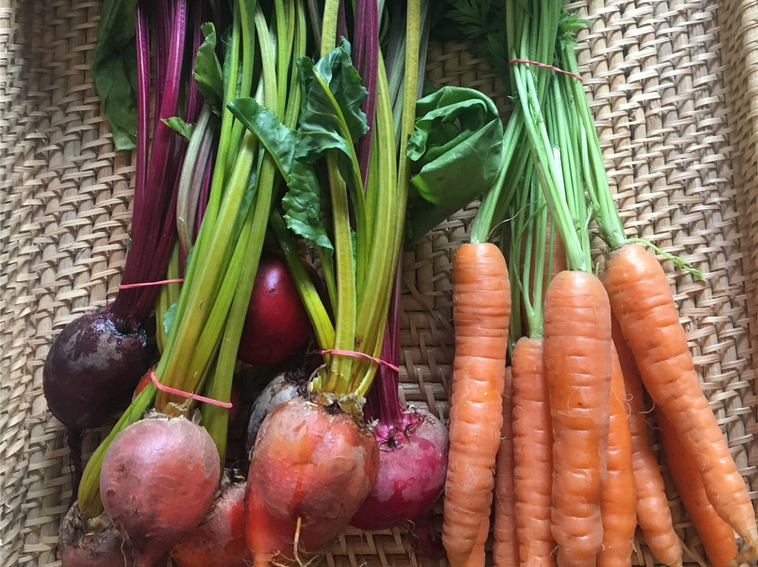 La Maison de Ville - Bed & Bistro主图