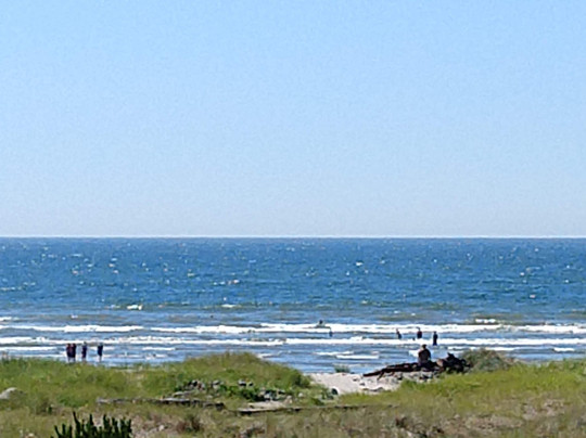 Inn at the Shore主图