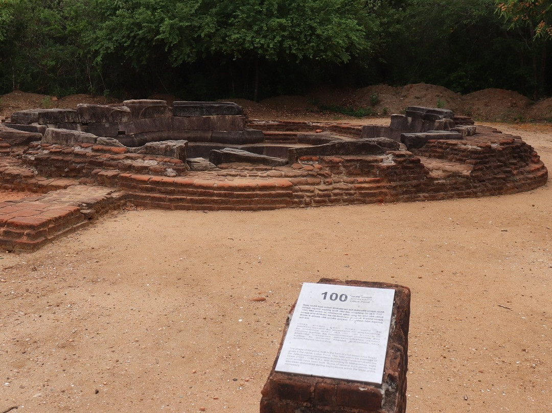 Lotus Pond景点图片