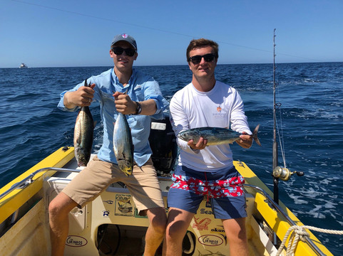 Chileno Bay Los Cabos-卡波圣卢卡斯必去景点