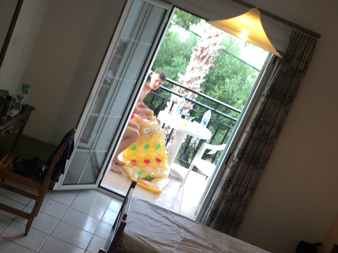 Divina Studios主图