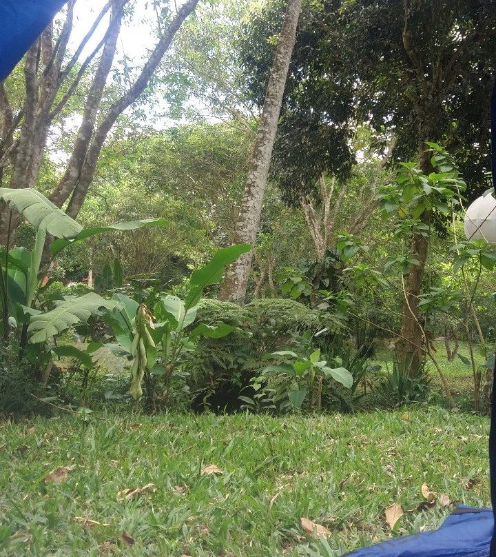 Complexo Turistico Alto da Serra主图