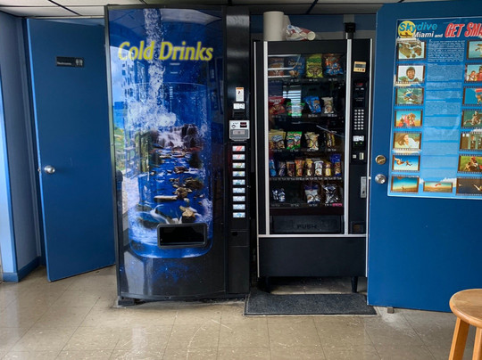 iSkydive Miami-霍姆斯特德必去景点