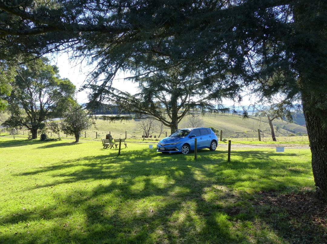 Fernbrook Lodge主图