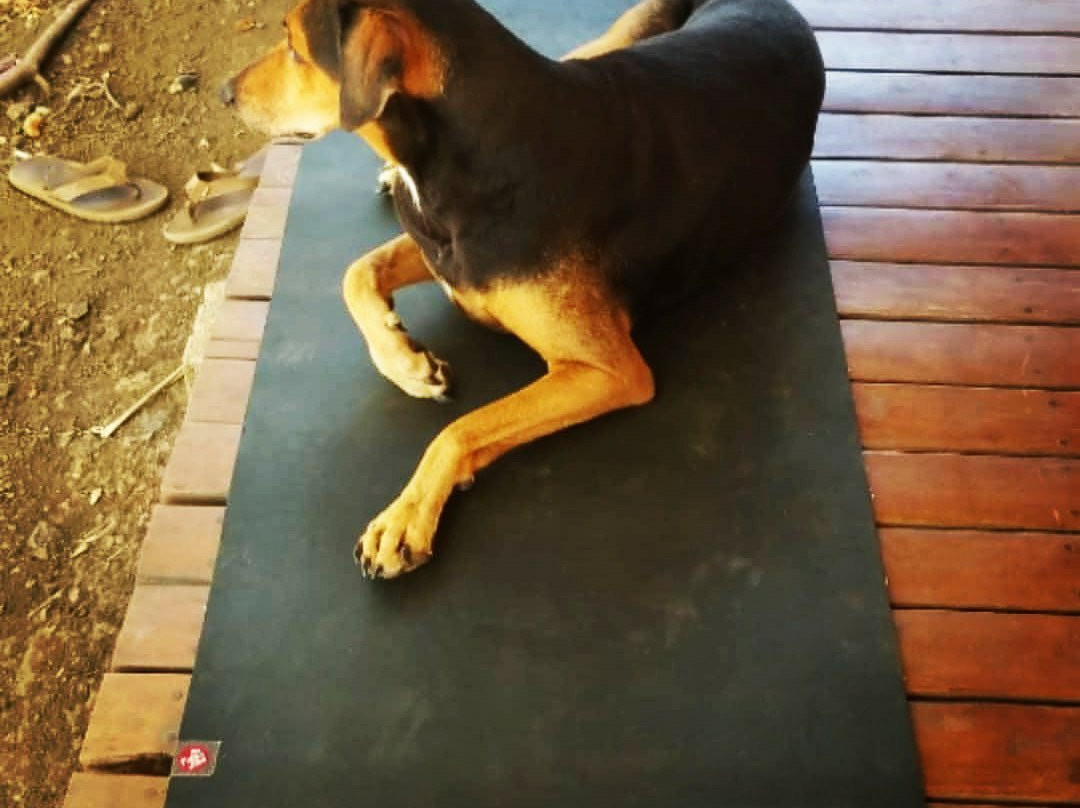 Playa Negra Beach Yoga景点图片