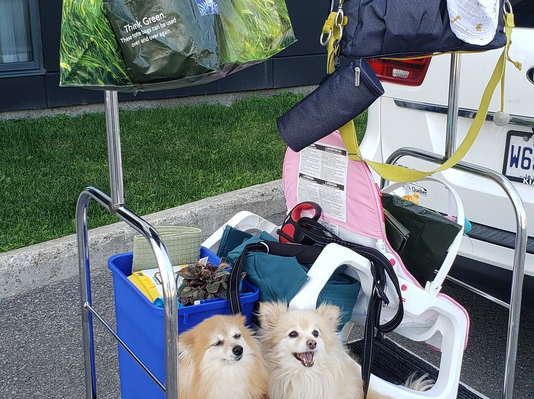 诺曼丁套房酒店主图