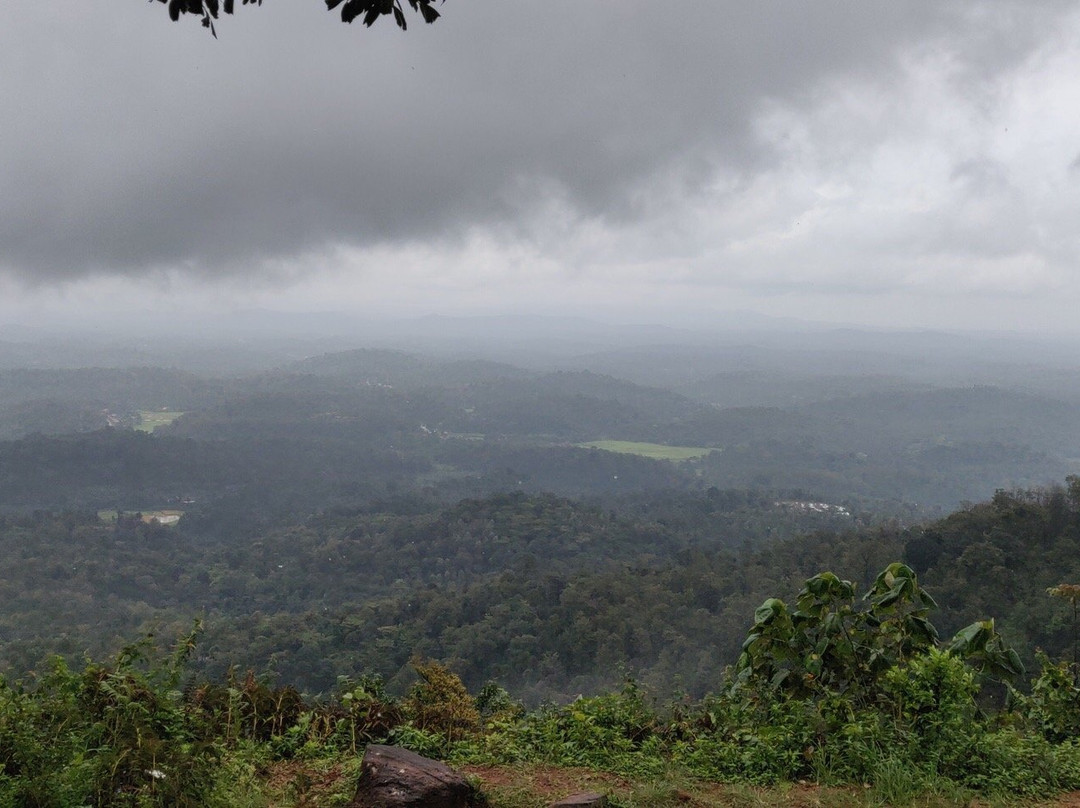 Tadiandamol Peak景点图片