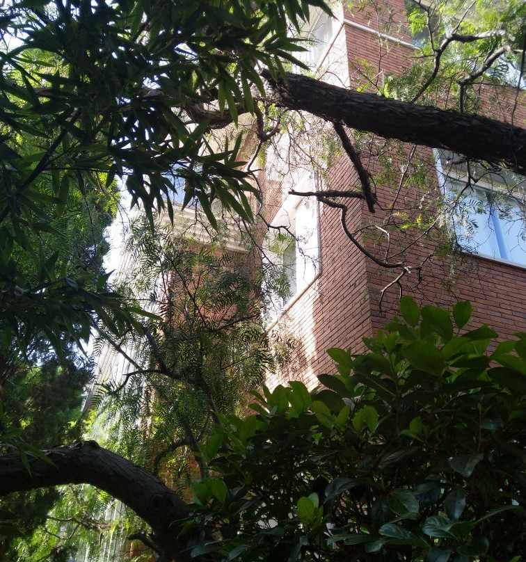 图洛德维拉纳酒店主图