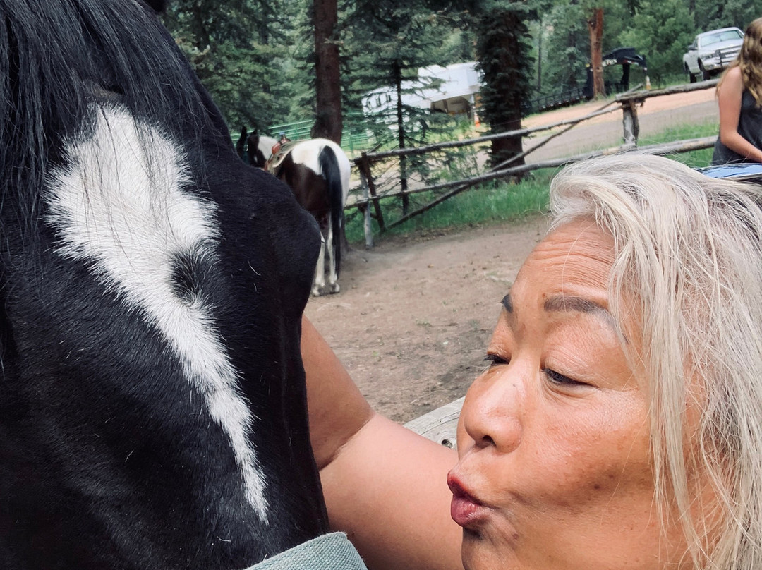 Bear Mountain Stables-Conifer必去景点