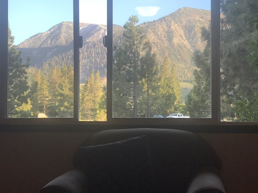 猛犸溪酒店主图