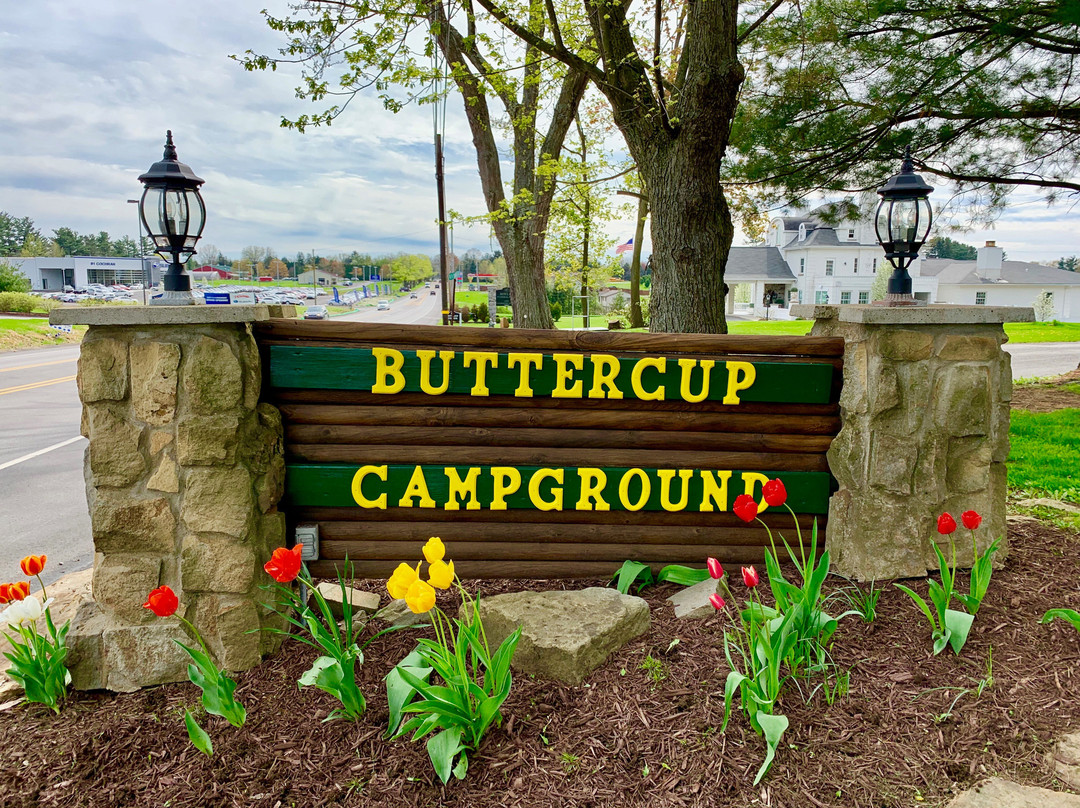 Buttercup Woodlands Campground