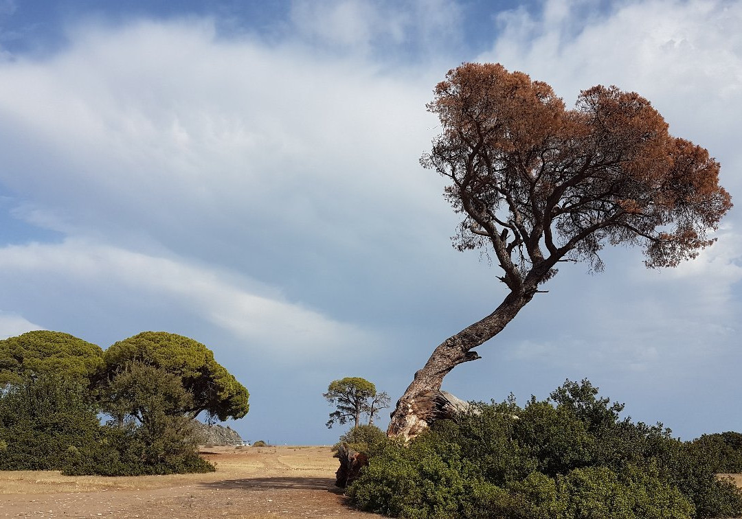 Tunays Pansiyon主图