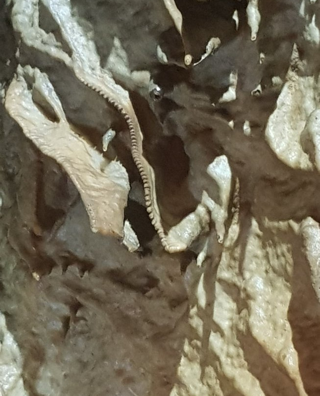 Mabaj Grotto-朱拜勒必去景点