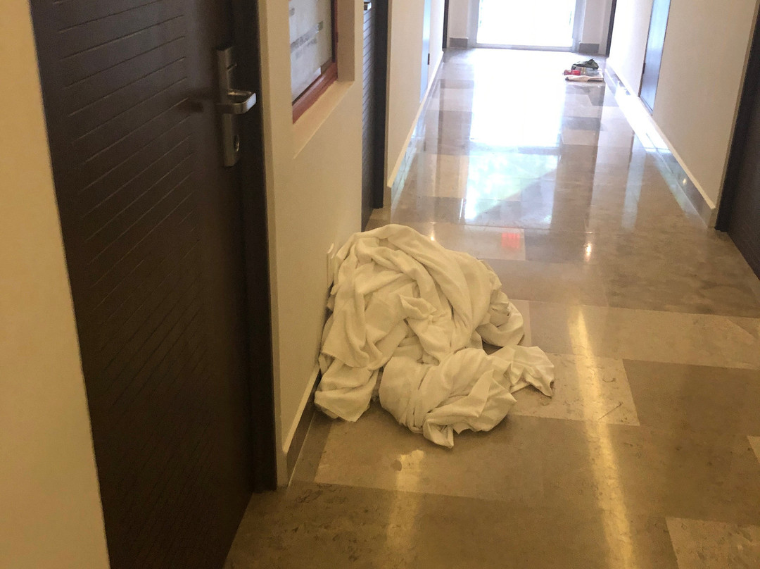 比亚埃尔莫萨凯悦丽晶酒店主图