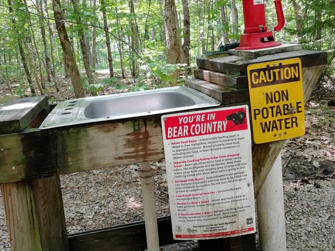 Crawford Notch General Store and Campground主图