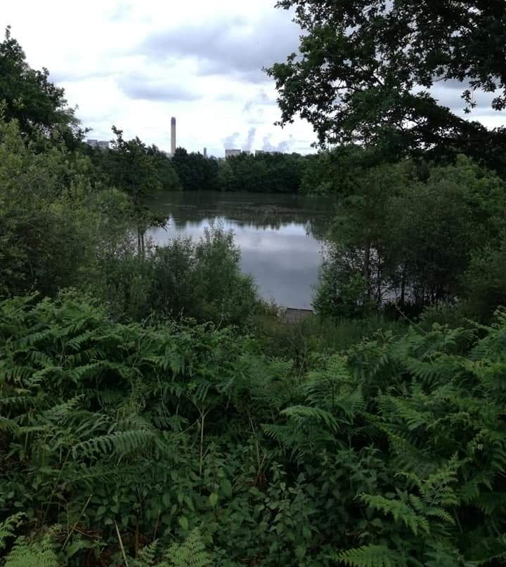 Barlow Common Nature Reserve景点图片