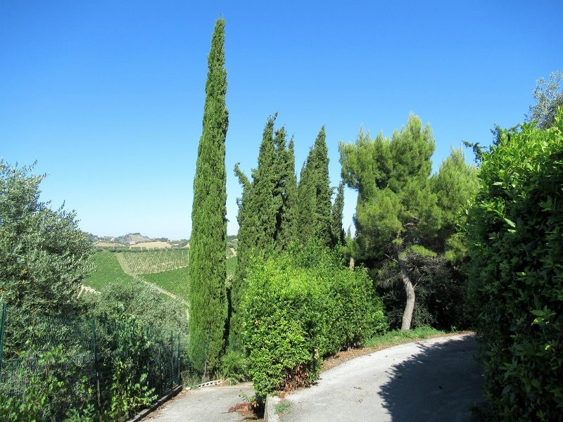 Gli Orti di San Giacomo主图