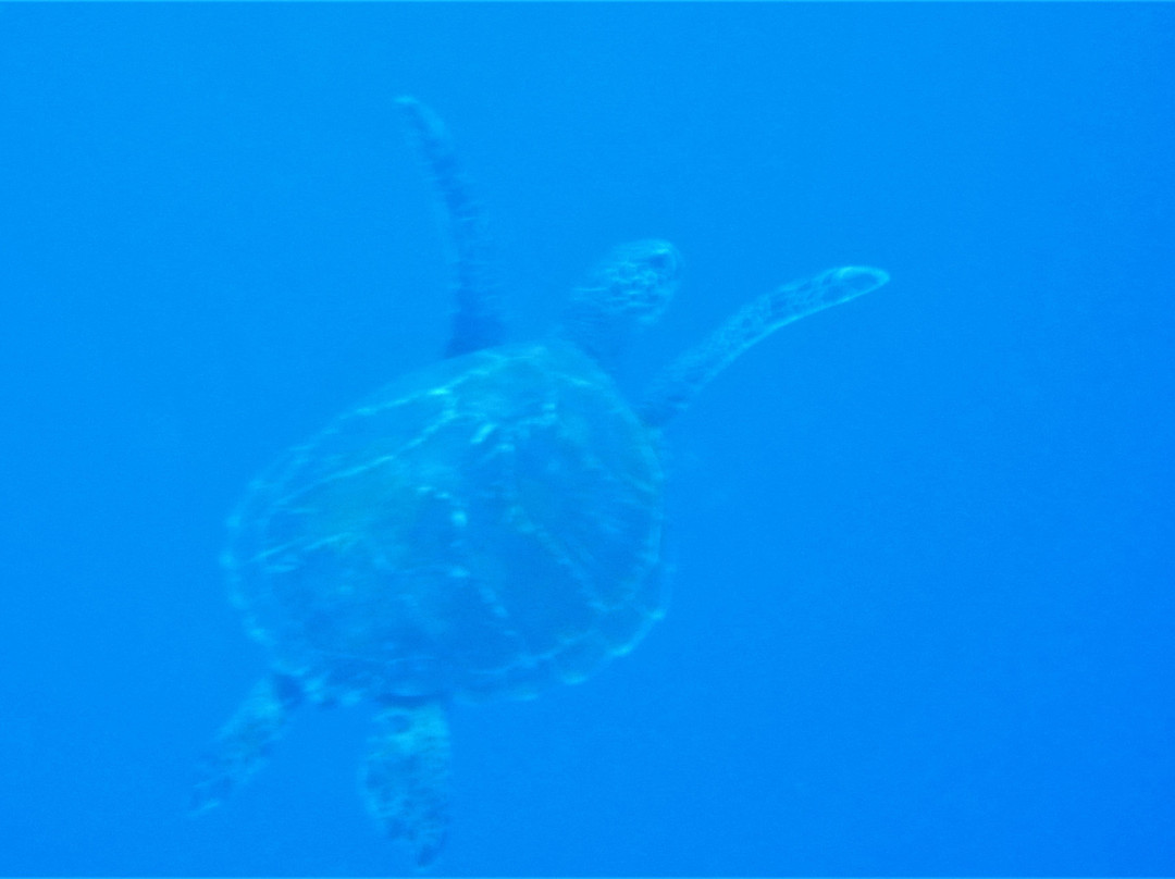 Aqua-Trek Mana-玛娜岛必去景点