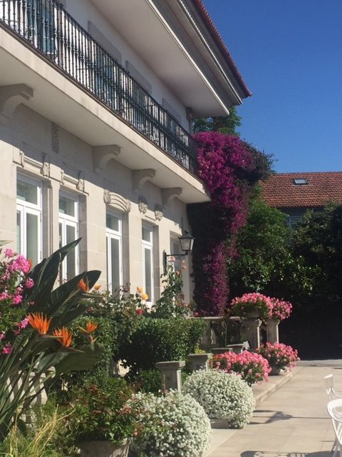 Casa Rosita主图