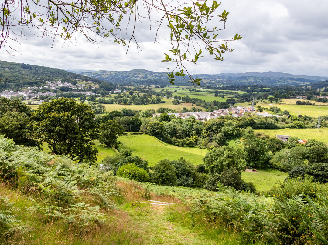 Caer Drewyn Hillfort景点图片
