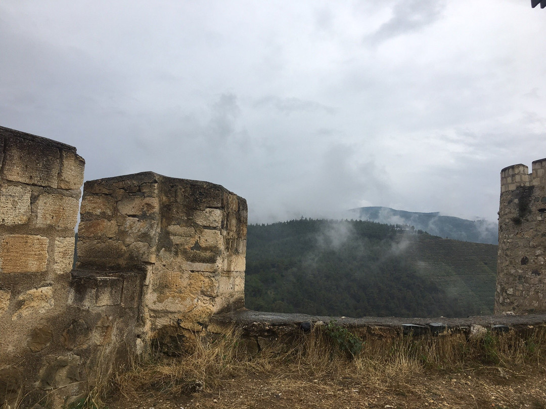 Boyabat Kalesi景点图片