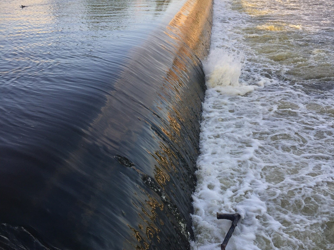 Fish Ladder-大急流市必去景点