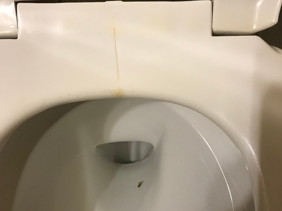 Wingate by Wyndham Montgomery主图