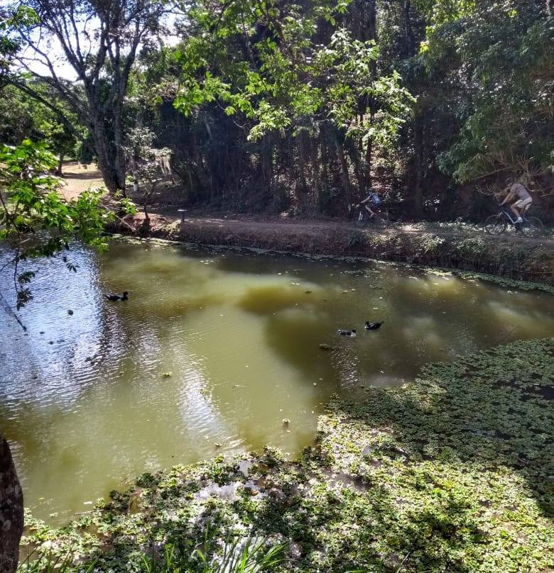 Parque dos Lagos-Valinhos必去景点