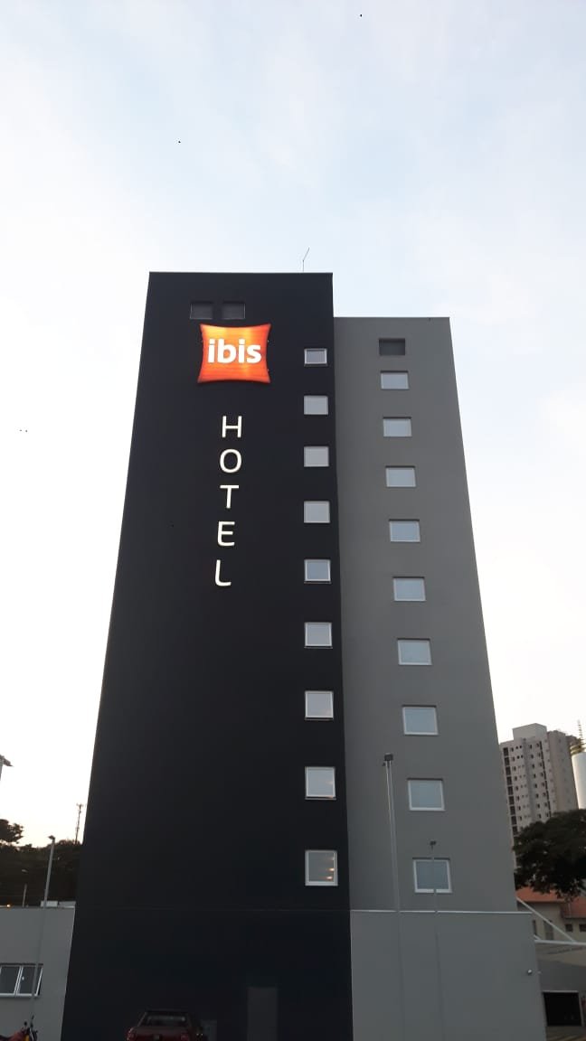 Ibis Americana-portrait