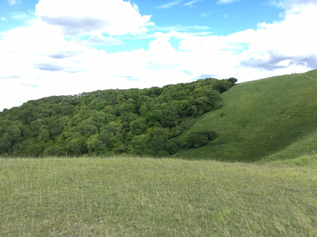 White Horse Hill景点图片