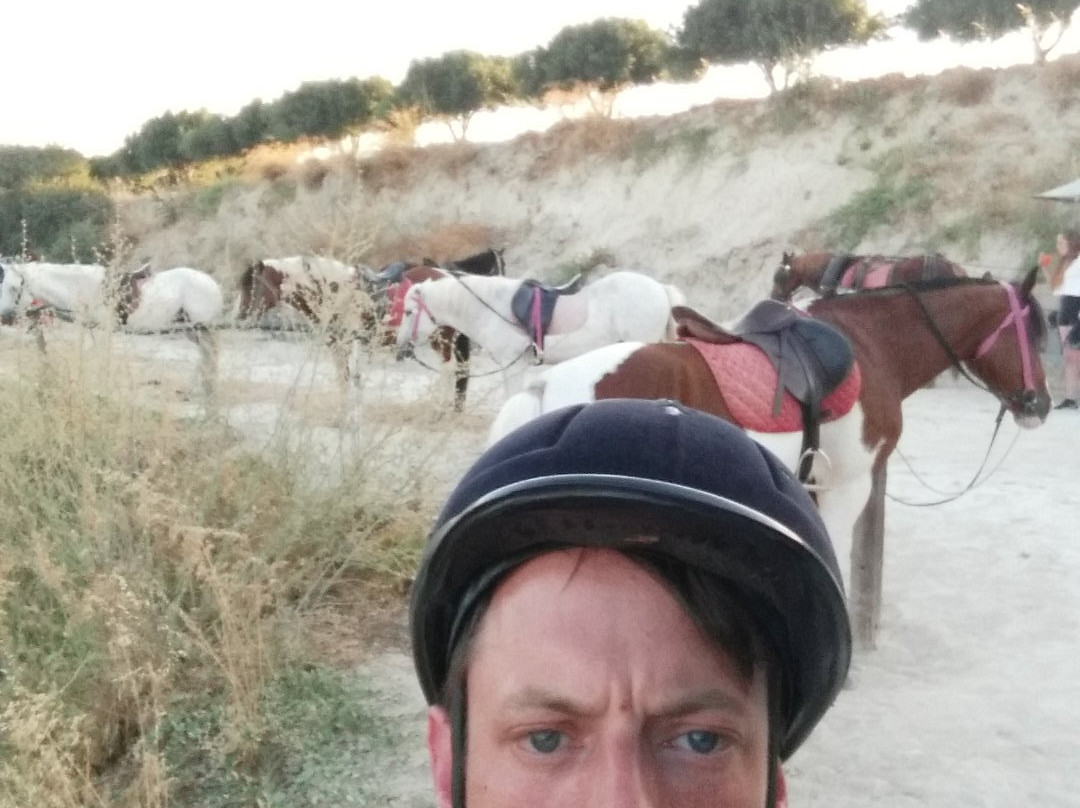 Finikia Horseriding景点图片