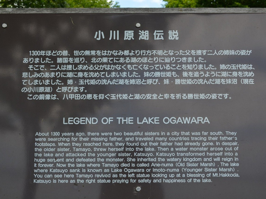 Tamayo Katsuyohime Zo景点图片