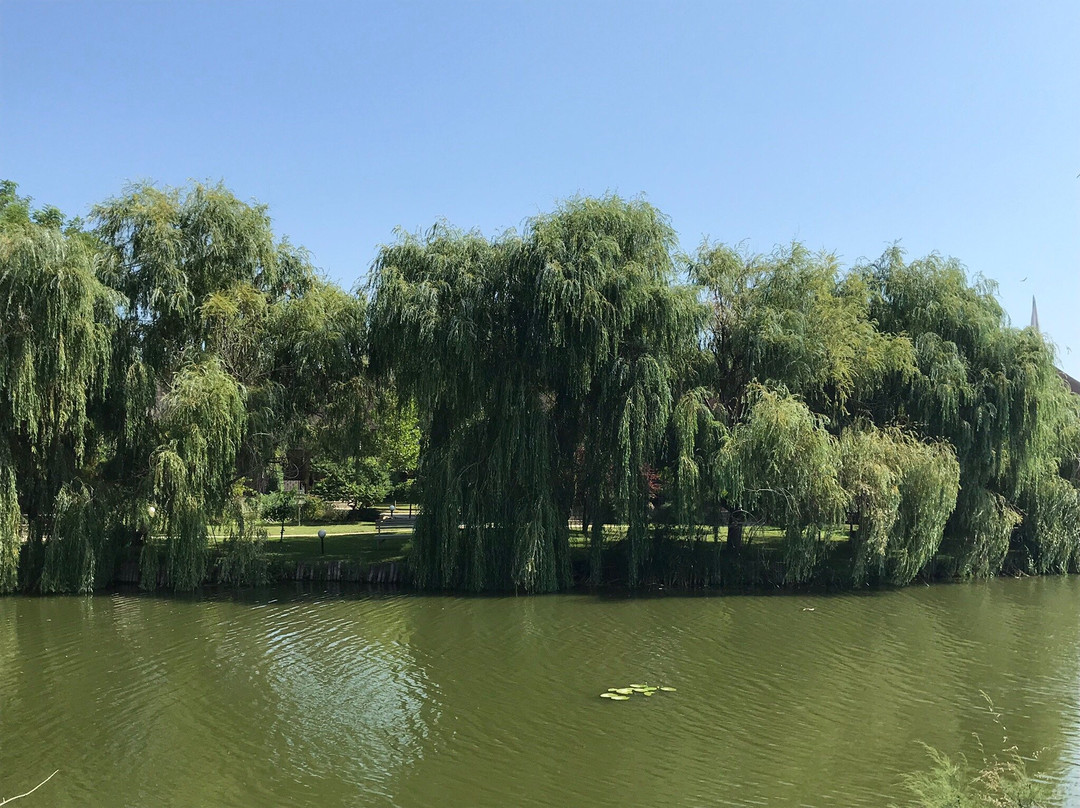 Kayak Danube Delta景点图片