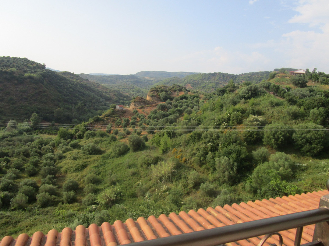 巴克斯酒店主图