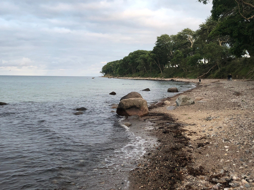 Aparthotel Museumshof主图