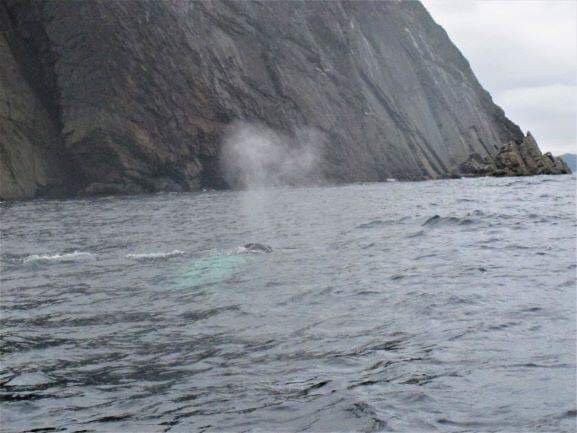 Round Da Bay Inn主图