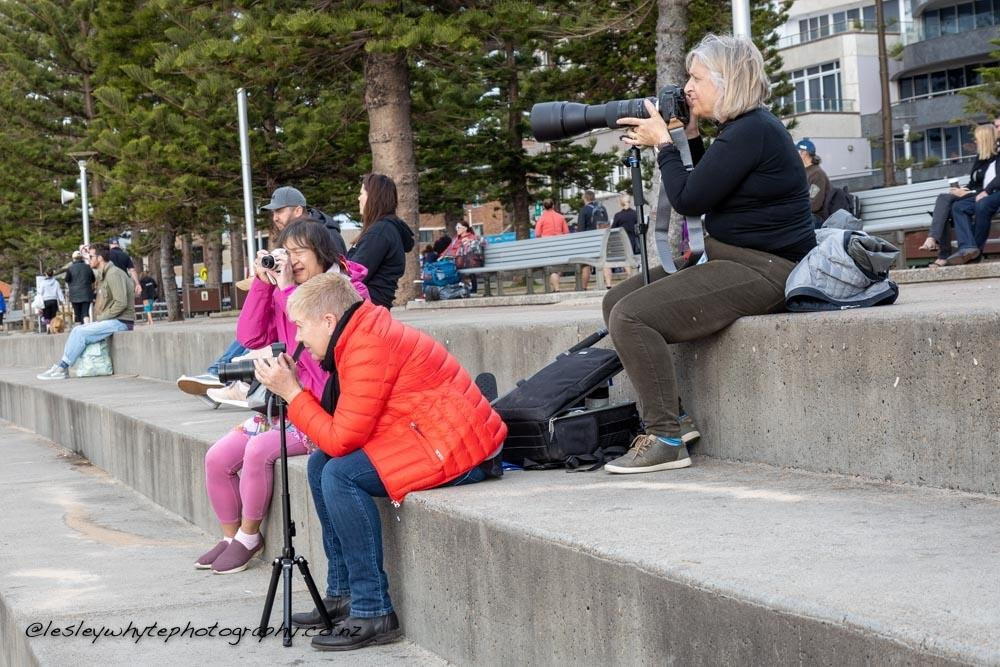 Lesley Whyte Photography-奥克兰必去景点