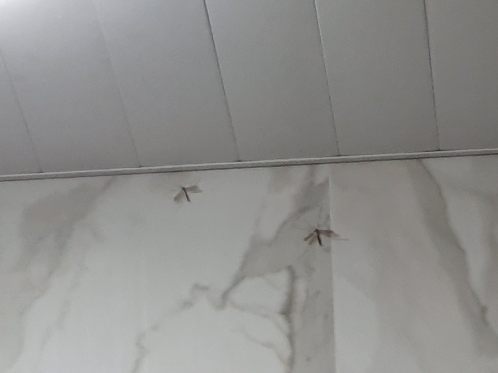 Tay-Spa-阿拉木图必去景点