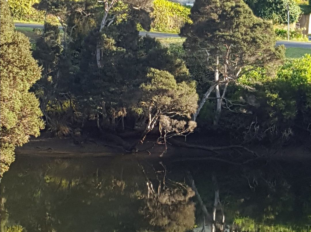 Alexandria Bed and Breakfast主图