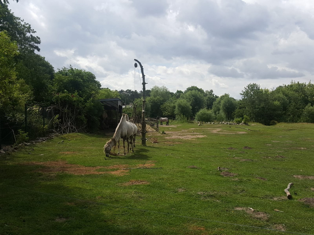Tierpark Stralsund-施特拉尔松德必去景点