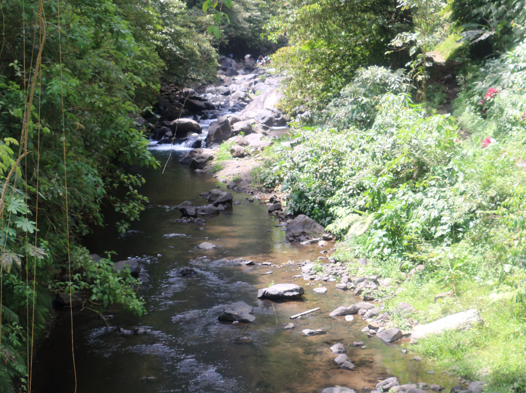 Sekumpul Waterfall Tour景点图片