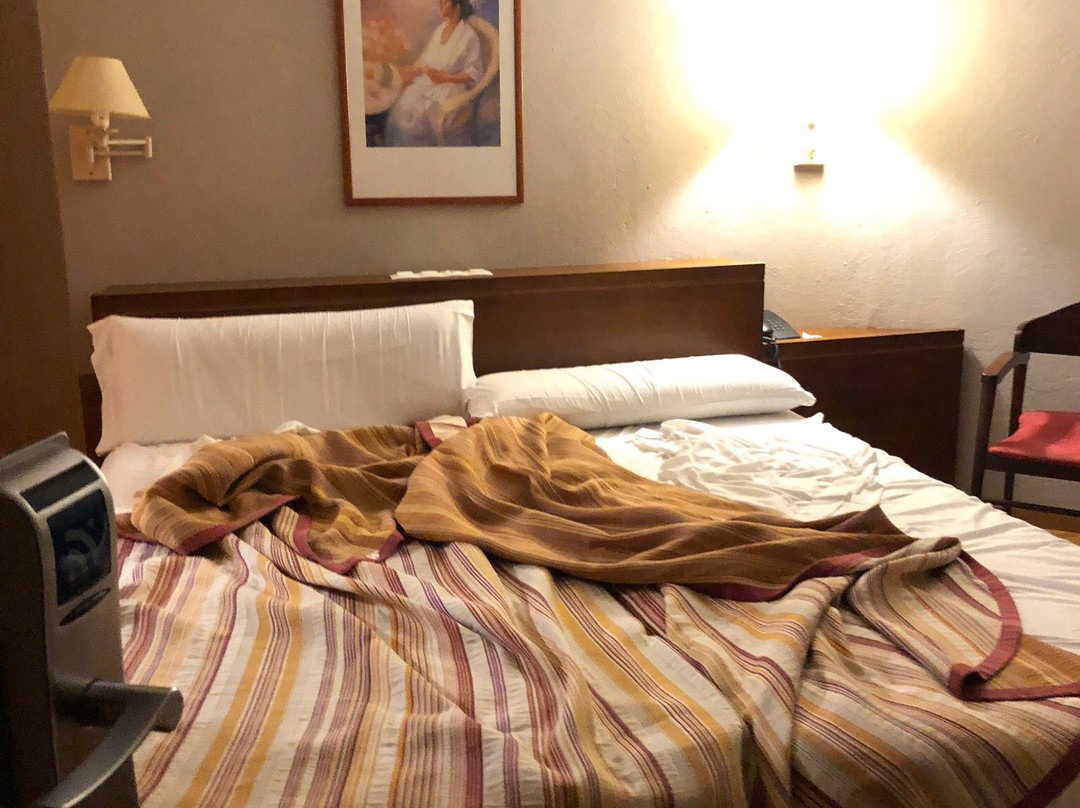 美茨芳达酒店主图