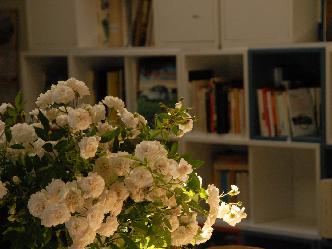 Alliance Française Odessa-敖德萨必去景点