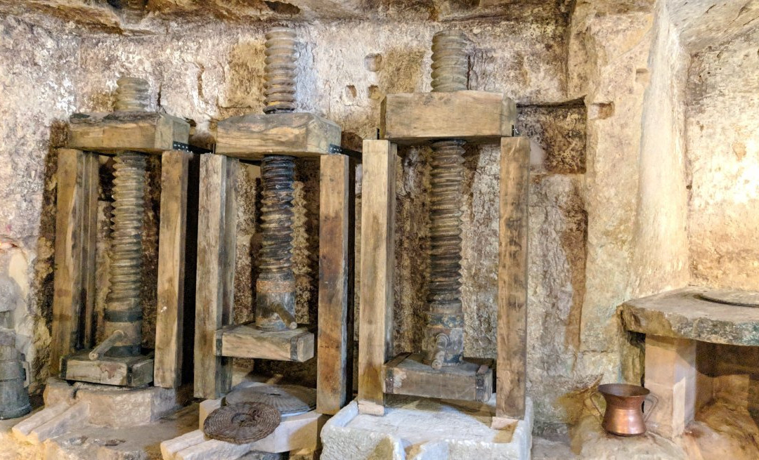 MOOM Matera Olive Oil Museum
