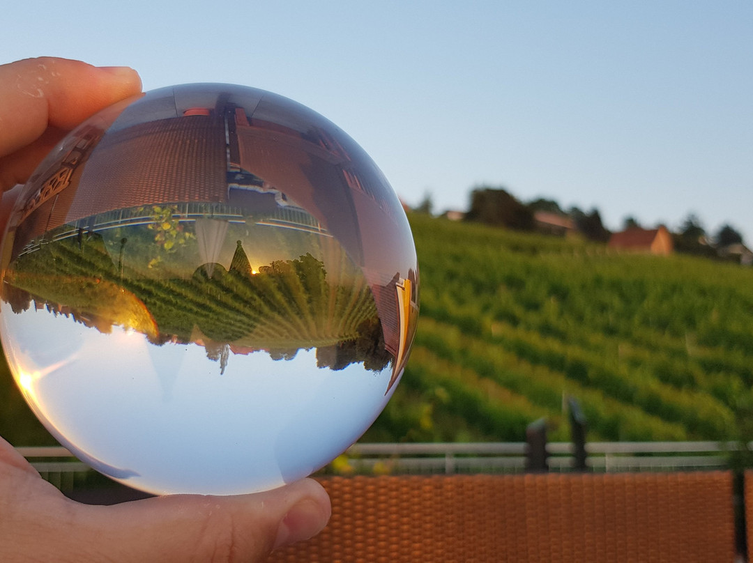 Schneiderannerl主图