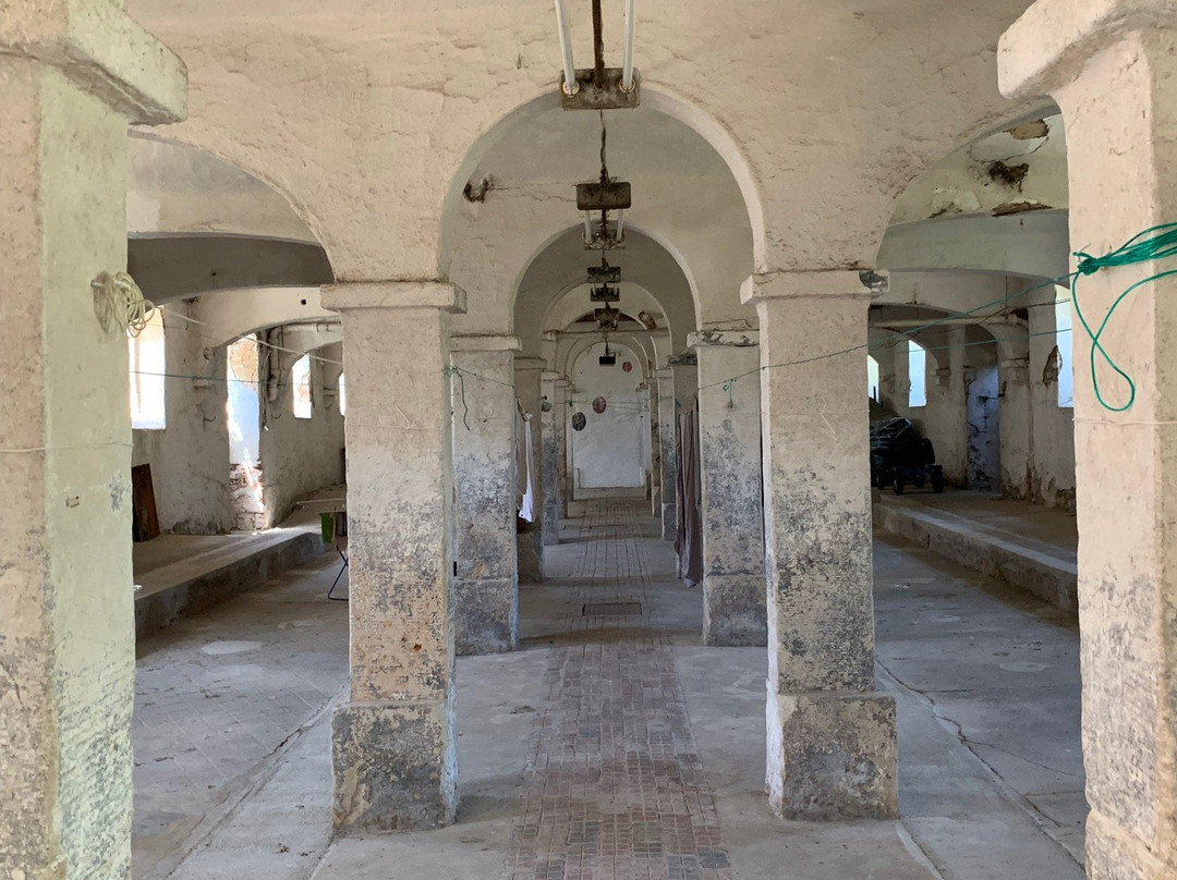 Jahnishausen-Riesa必去景点