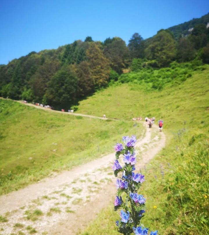 Hotel Bucaneve主图