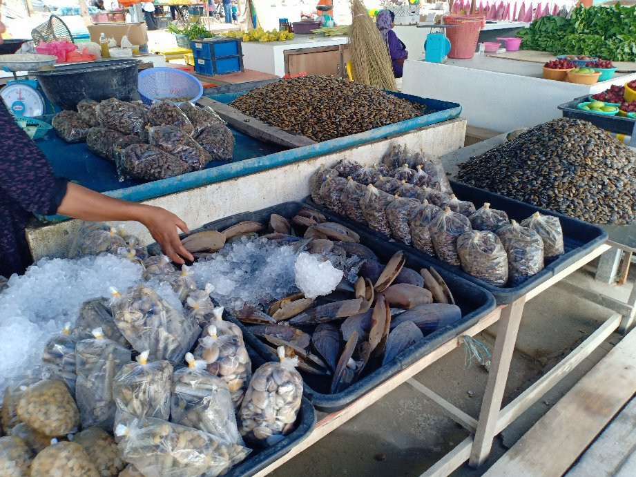 Pantai Remis-Kapar必去景点