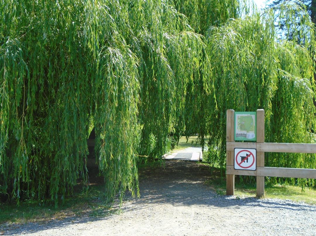 Mundy Park景点图片