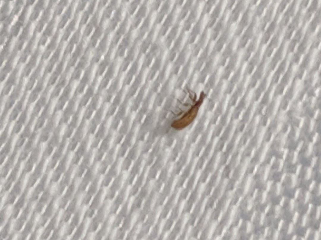 Comfort Suites Lake Jackson Clute主图